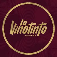 Vinotinto FC